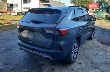 Внедорожник / Кроссовер Ford Escape 2022 в 
