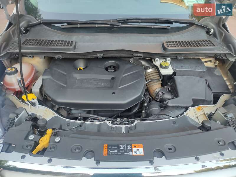 Внедорожник / Кроссовер Ford Escape 2016 в Киеве фото 14 Внедорожник / Кроссовер Ford Escape 2016 в Киеве