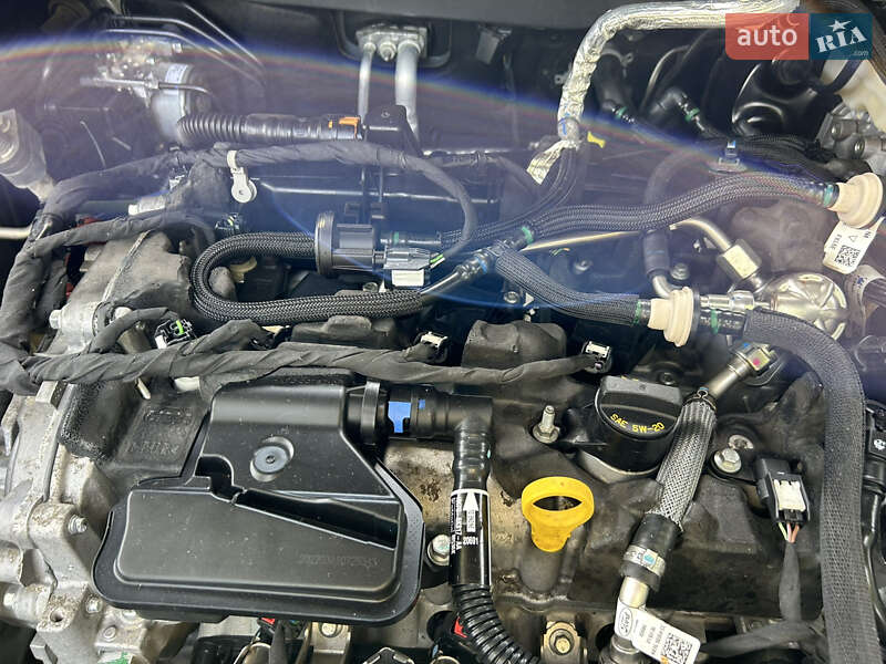 Внедорожник / Кроссовер Ford Escape 2022 в Киеве