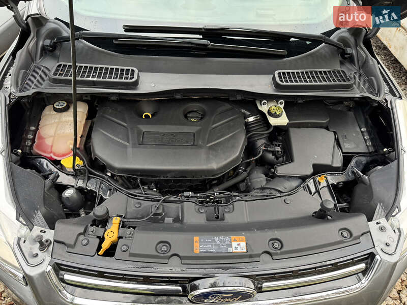 Внедорожник / Кроссовер Ford Escape 2013 в Тернополе