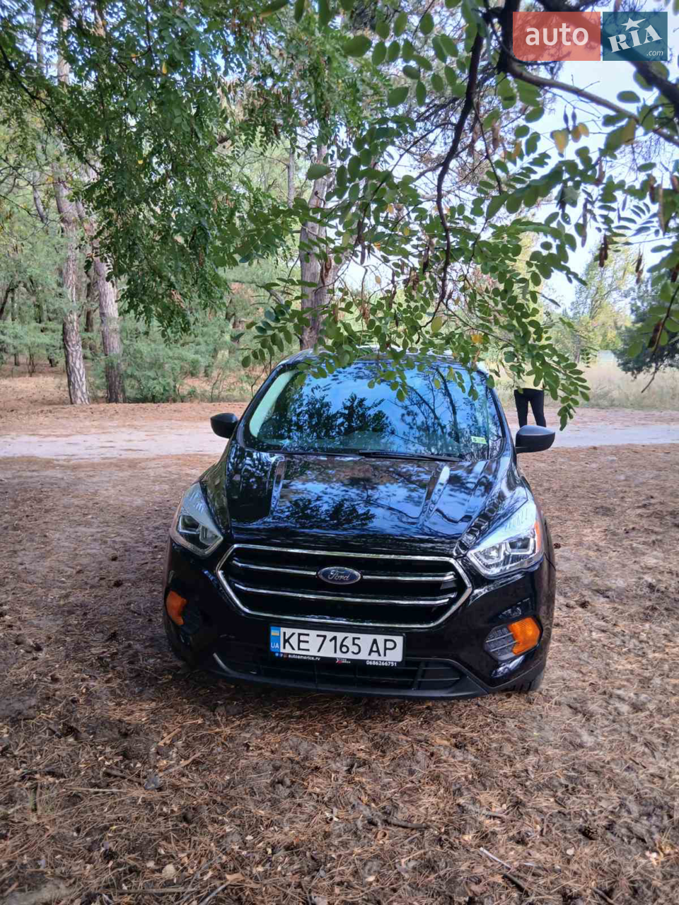 2016 Ford Escape - мініатюра 22