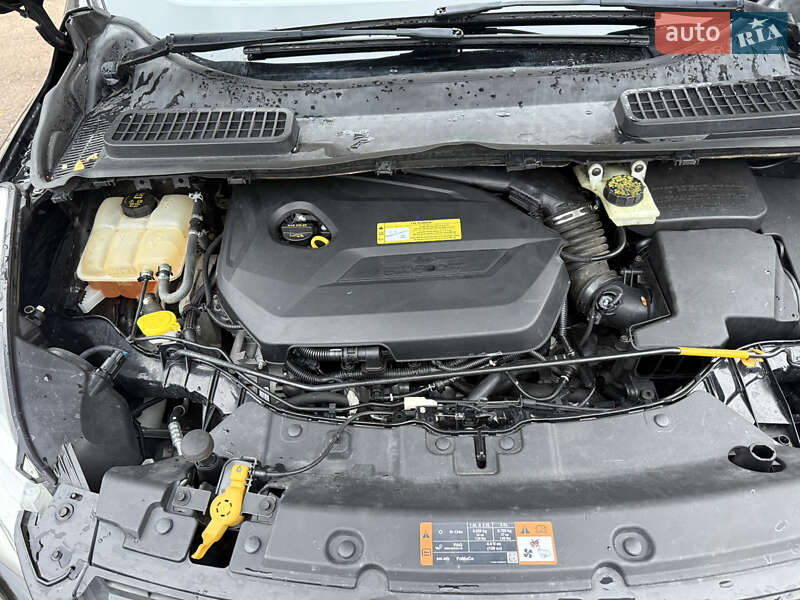 Внедорожник / Кроссовер Ford Escape 2014 в Чернигове фото 22 Внедорожник / Кроссовер Ford Escape 2014 в Чернигове