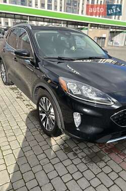 Внедорожник / Кроссовер Ford Escape 2020 в 