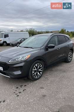 Внедорожник / Кроссовер Ford Escape 2020 в 