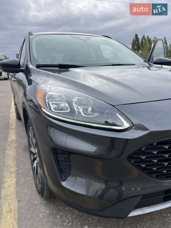 Внедорожник / Кроссовер Ford Escape 2020 в Шаргороде фото 7 Внедорожник / Кроссовер Ford Escape 2020 в Шаргороде