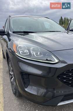 Внедорожник / Кроссовер Ford Escape 2020 в 