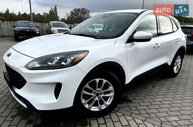 Внедорожник / Кроссовер Ford Escape 2019 в 