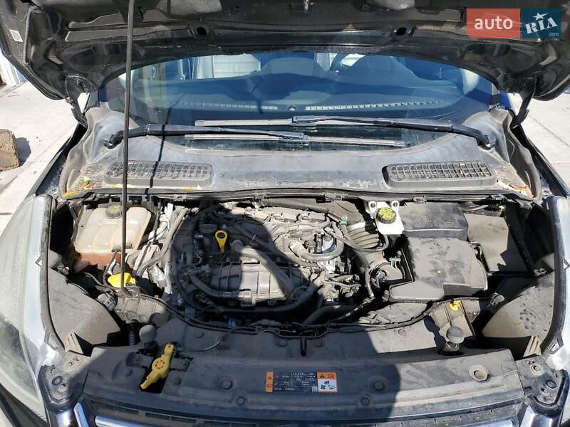 Позашляховик / Кросовер Ford Escape 2016 в Чернігові фото 12 Позашляховик / Кросовер Ford Escape 2016 в Чернігові
