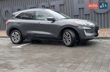 Внедорожник / Кроссовер Ford Escape 2020 в 