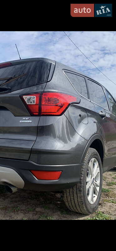 Внедорожник / Кроссовер Ford Escape 2019 в Харькове