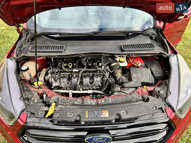 Позашляховик / Кросовер Ford Escape 2016 в Нетішині фото 71 Позашляховик / Кросовер Ford Escape 2016 в Нетішині