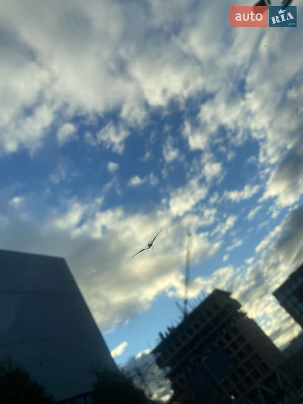 Позашляховик / Кросовер Ford Escape 2018 в Львові