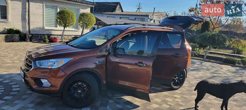 Внедорожник / Кроссовер Ford Escape 2016 в Гайвороне фото 9 Внедорожник / Кроссовер Ford Escape 2016 в Гайвороне