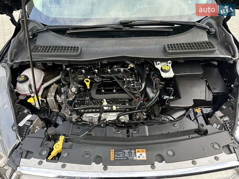 Позашляховик / Кросовер Ford Escape 2018 в Дубні фото 68 Позашляховик / Кросовер Ford Escape 2018 в Дубні