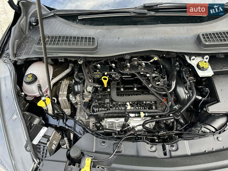 Позашляховик / Кросовер Ford Escape 2018 в Дубні фото 69 Позашляховик / Кросовер Ford Escape 2018 в Дубні