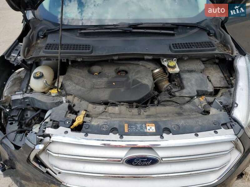 Позашляховик / Кросовер Ford Escape 2018 в Львові фото 13 Позашляховик / Кросовер Ford Escape 2018 в Львові