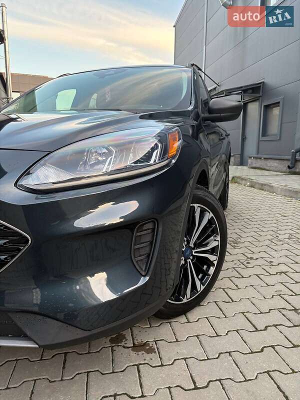 Позашляховик / Кросовер Ford Escape 2022 в Шепетівці