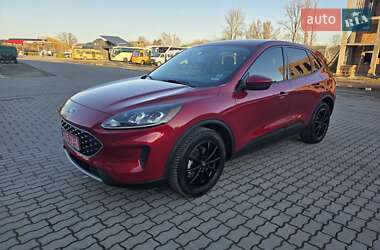 Внедорожник / Кроссовер Ford Escape 2020 в Коломые