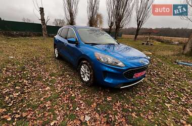 Внедорожник / Кроссовер Ford Escape 2020 в Саврани