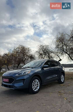 Внедорожник / Кроссовер Ford Escape 2020 в Джулинке