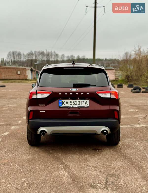 Внедорожник / Кроссовер Ford Escape 2021 в Чернигове