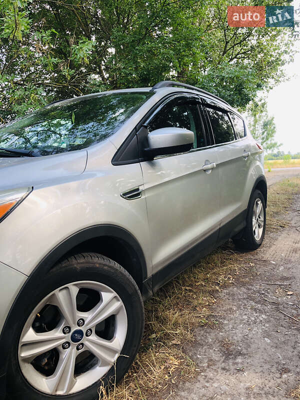 Внедорожник / Кроссовер Ford Escape 2013 в Бердичеве фото 24 Внедорожник / Кроссовер Ford Escape 2013 в Бердичеве