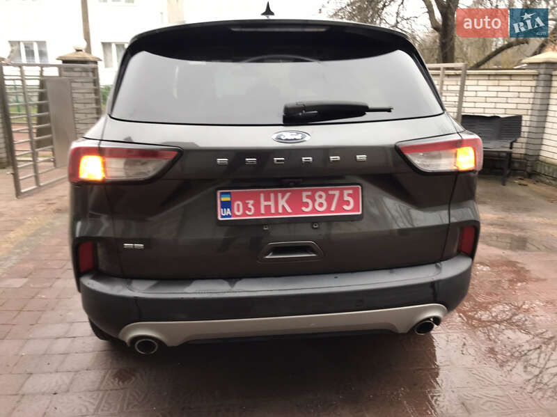 Позашляховик / Кросовер Ford Escape 2020 в Шептицькому фото 13 Позашляховик / Кросовер Ford Escape 2020 в Шептицькому