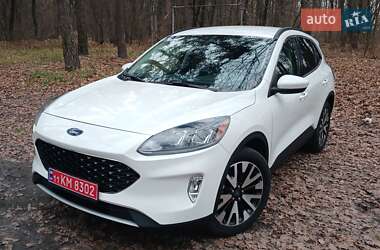 Внедорожник / Кроссовер Ford Escape 2020 в Софиевской Борщаговке
