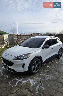 Внедорожник / Кроссовер Ford Escape 2022 в Каменец-Подольском