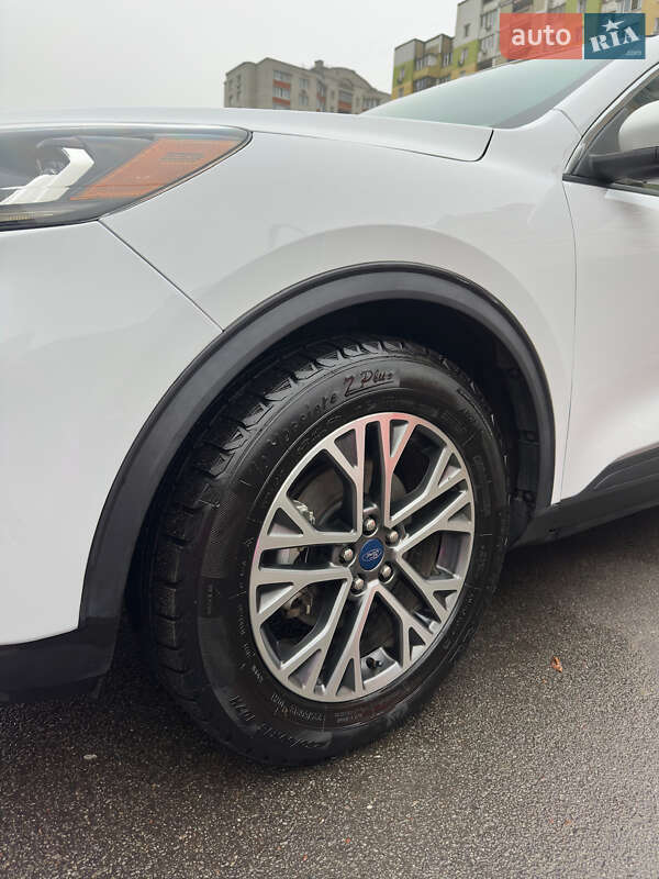 Внедорожник / Кроссовер Ford Escape 2019 в Киеве