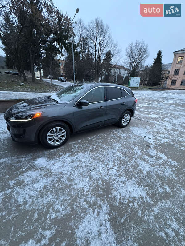 Внедорожник / Кроссовер Ford Escape 2020 в Львове фото 11 Внедорожник / Кроссовер Ford Escape 2020 в Львове