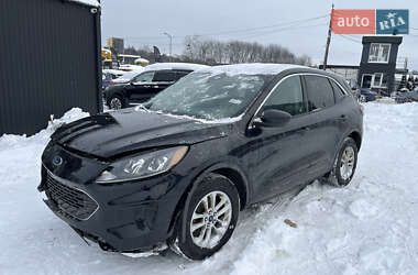 Внедорожник / Кроссовер Ford Escape 2019 в Львове