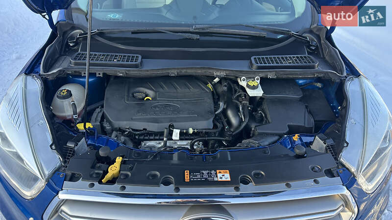 Позашляховик / Кросовер Ford Escape 2017 в Дубні фото 39 Позашляховик / Кросовер Ford Escape 2017 в Дубні