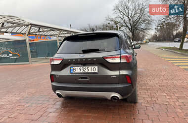 Внедорожник / Кроссовер Ford Escape 2020 в Полтаве