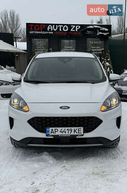 Позашляховик / Кросовер Ford Escape 2019 в Запоріжжі