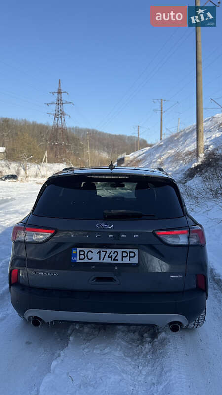 Внедорожник / Кроссовер Ford Escape 2020 в Львове