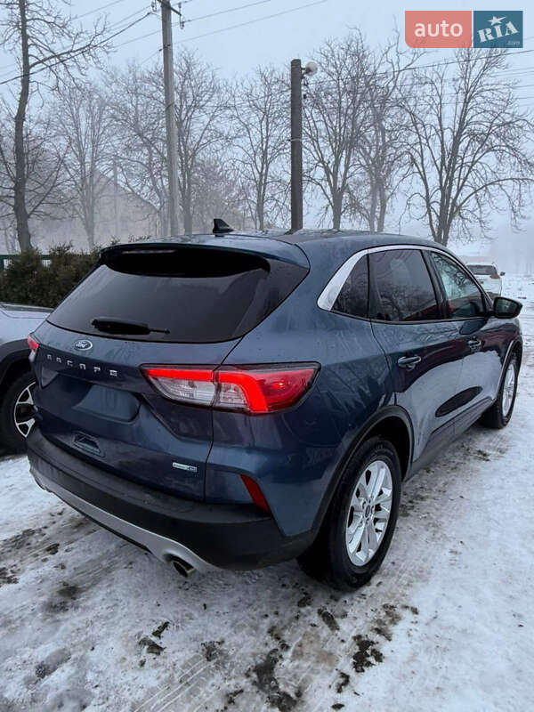 Позашляховик / Кросовер Ford Escape 2020 в Львові