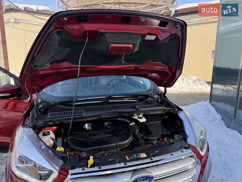 Позашляховик / Кросовер Ford Escape 2019 в Дрогобичі