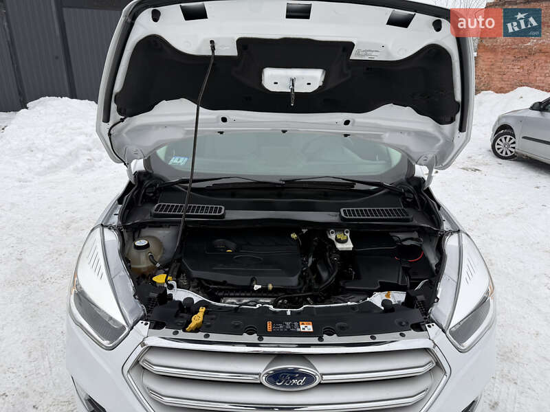 Внедорожник / Кроссовер Ford Escape 2019 в Дубно