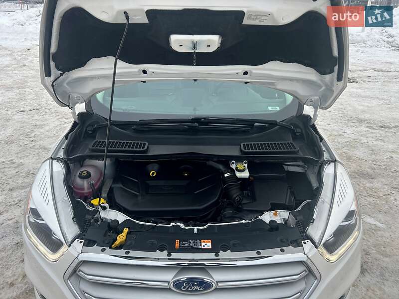 Позашляховик / Кросовер Ford Escape 2019 в Житомирі