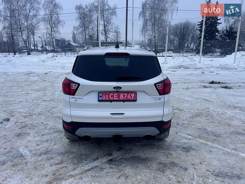 Позашляховик / Кросовер Ford Escape 2019 в Житомирі