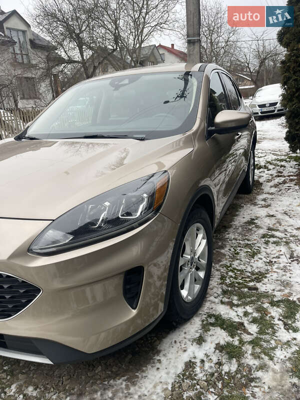 Позашляховик / Кросовер Ford Escape 2020 в Івано-Франківську фото 3 Позашляховик / Кросовер Ford Escape 2020 в Івано-Франківську