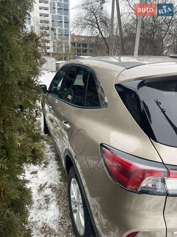 Позашляховик / Кросовер Ford Escape 2020 в Івано-Франківську фото 7 Позашляховик / Кросовер Ford Escape 2020 в Івано-Франківську