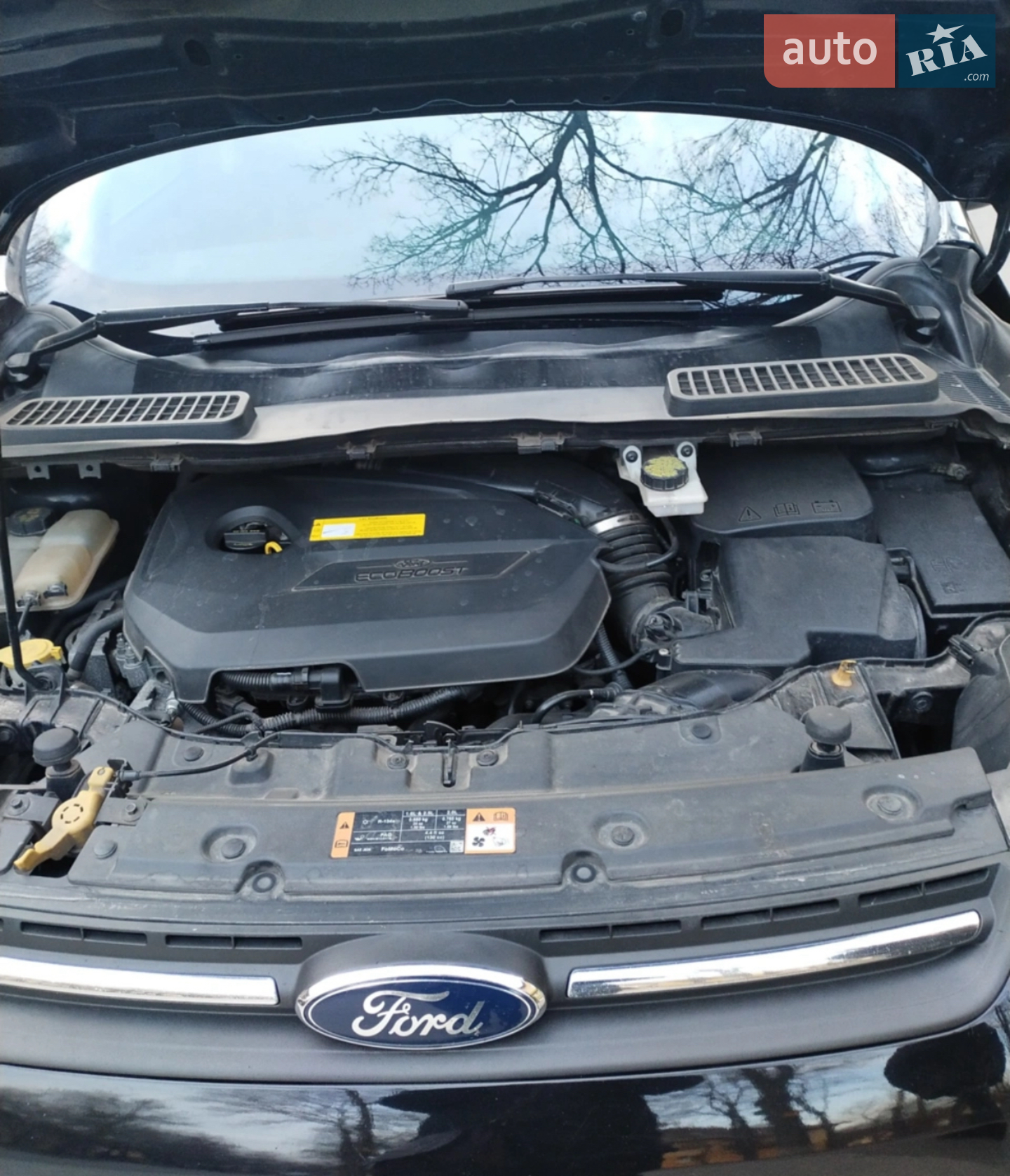 2013 Ford Escape - мініатюра 5
