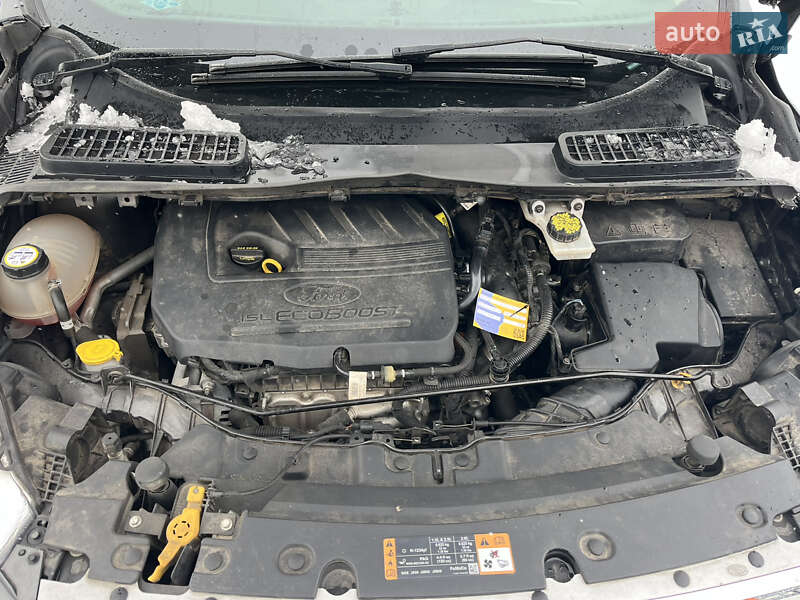 Позашляховик / Кросовер Ford Escape 2018 в Софіївській Борщагівці