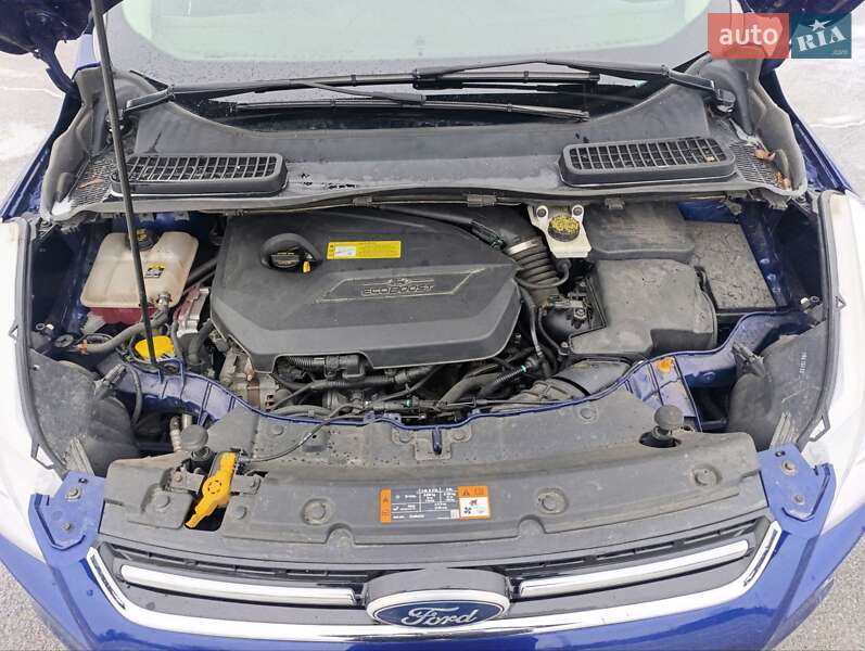 Внедорожник / Кроссовер Ford Escape 2012 в Днепре