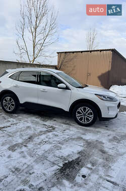 Внедорожник / Кроссовер Ford Escape 2022 в Ивано-Франковске