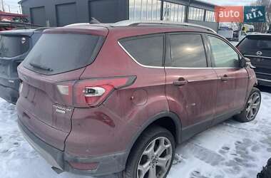 Внедорожник / Кроссовер Ford Escape 2019 в Львове