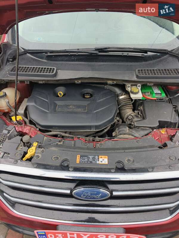 Позашляховик / Кросовер Ford Escape 2017 в Рівному