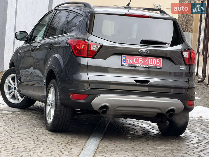 Позашляховик / Кросовер Ford Escape 2019 в Дрогобичі